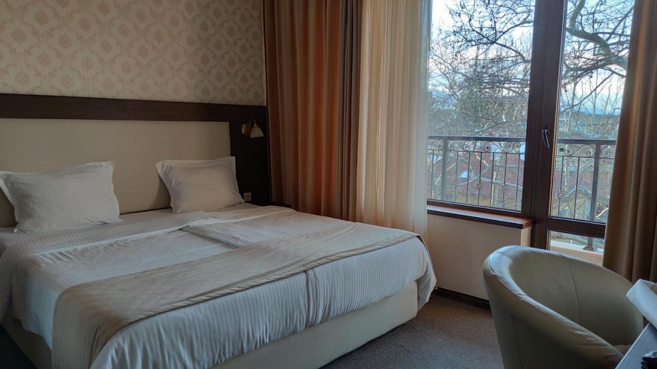 Medicus Hotel Varshets (Montana)