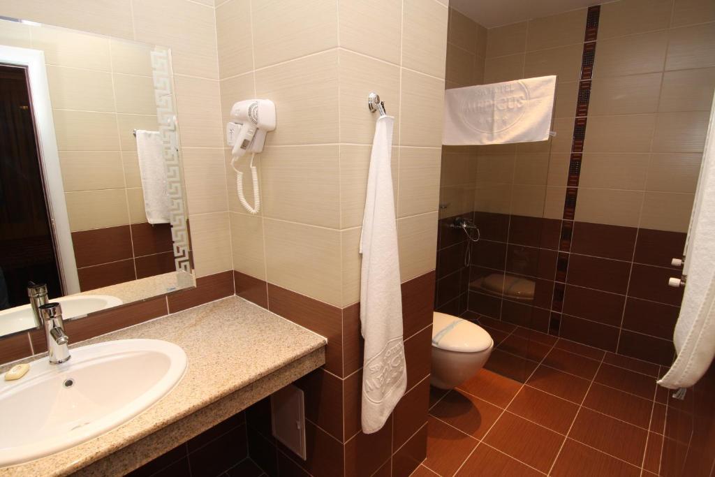 Medicus 4* Varshets (Montana)