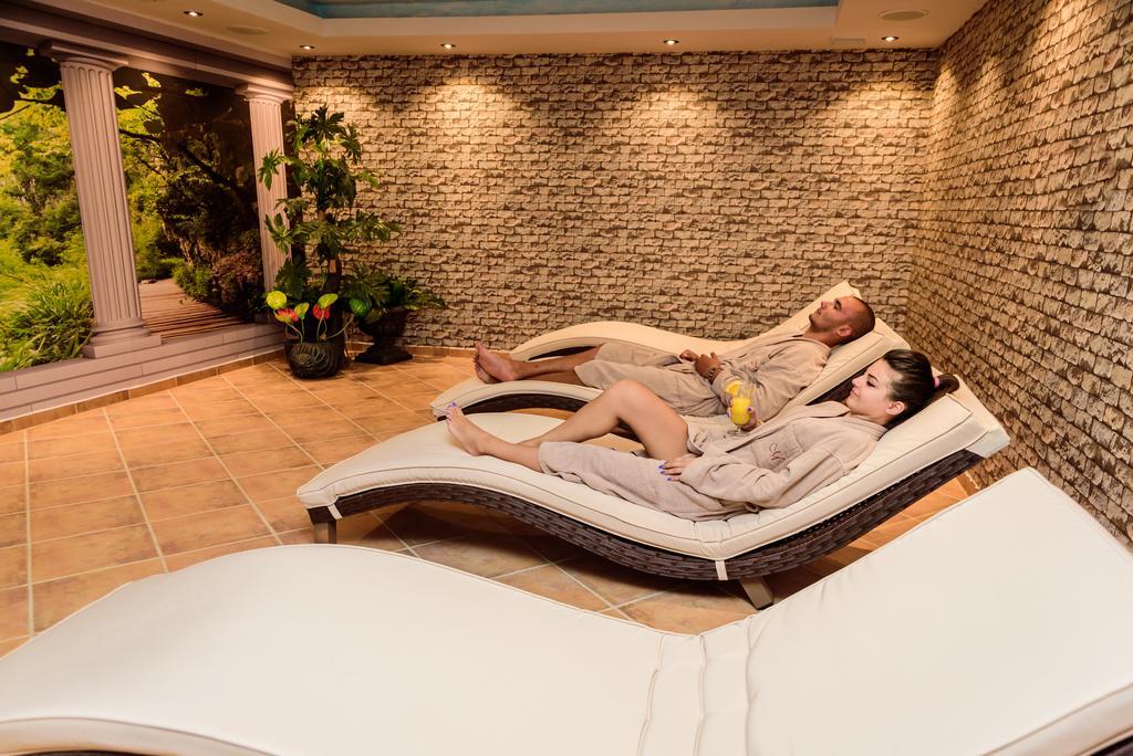 Medicus Hotel 4*